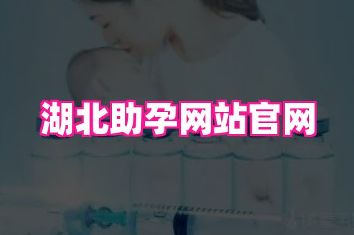 南京助孕网 2